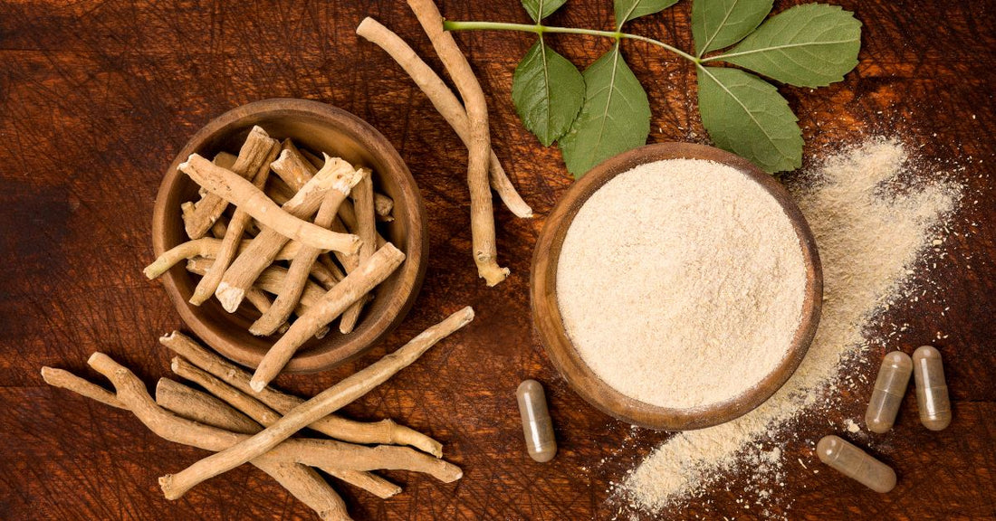 Ashwagandha: El Secreto de la India de 3,000 Años que está Revolucionando el Manejo del Estrés en Honduras
