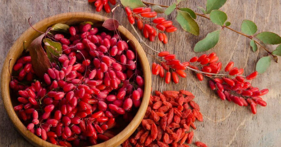 Berberina: La Verdad Sobre el "Ozempic Natural"