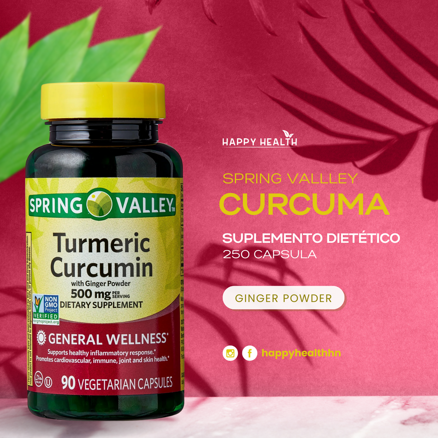 Spring Valley - Turmeric Curcumin con jingibre, 90 capsulas